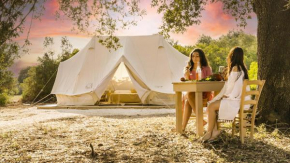 Cuturi Wine Glamping Manduria